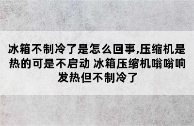 冰箱不制冷了是怎么回事,压缩机是热的可是不启动 冰箱压缩机嗡嗡响发热但不制冷了